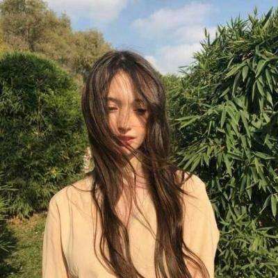 舰队荣耀果盘版下载