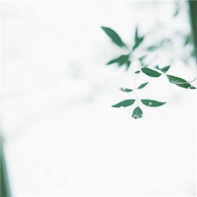 逍遥天地ol手游变态版下载