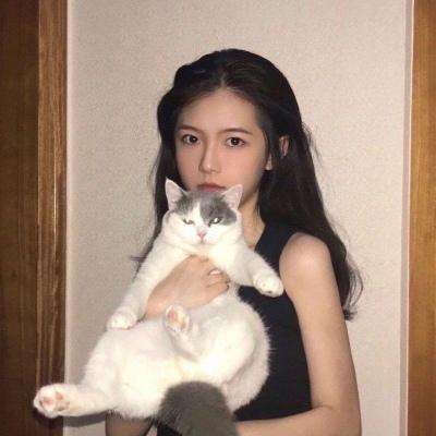帝国征服者之帝国文明ol官方版下载